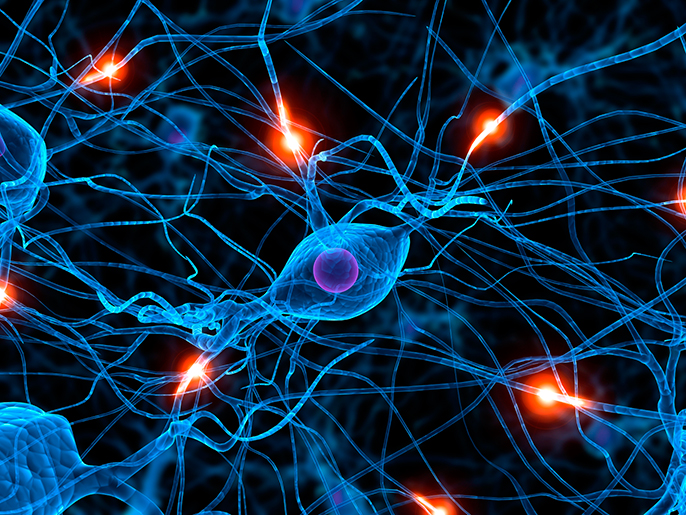 RMR-formation-epilepsie2