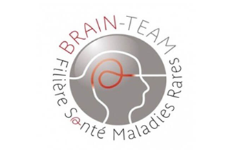 BRAIN-TEAM