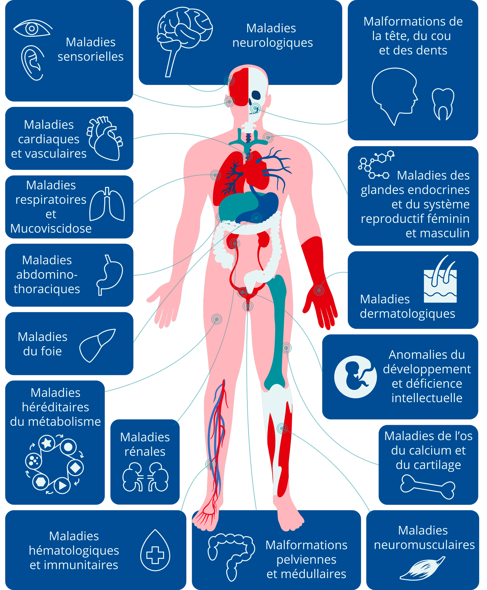 Information maladie rare